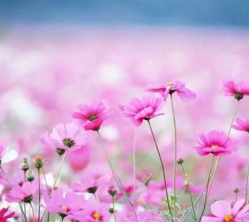 女方不搞姐弟恋 《春晚节目》