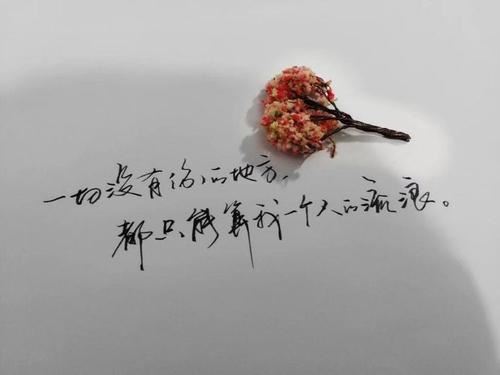 重阳节前遇华佗　《猜中药》