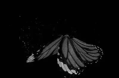 一眨眼 《中国影目一》