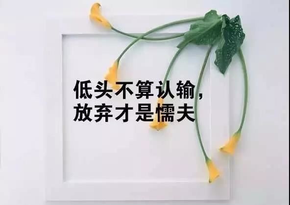 猜谜语题目:中秋朱雀归峰前《打一个科学家》