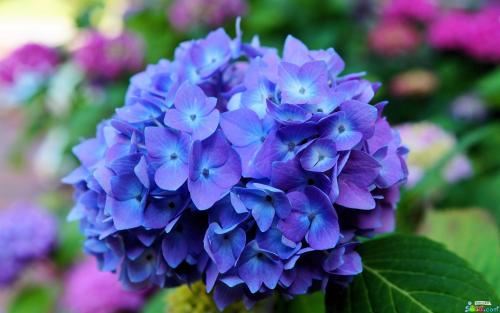 猜谜语题目:十三点《打一个字》