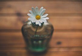 疏星三点_新月一钩《猜一字谜》