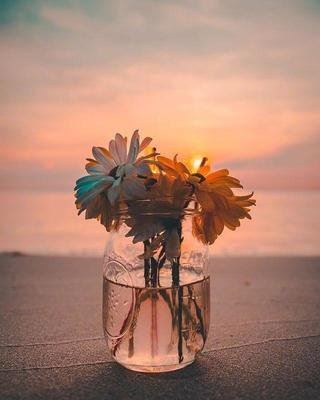 有缘千里来相会《猜一动物名》