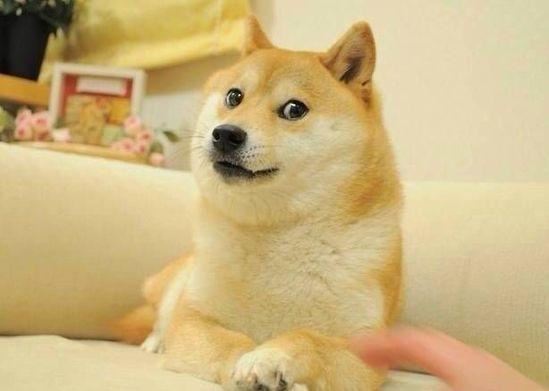 “破衲芒鞋无住处” 《探骊》