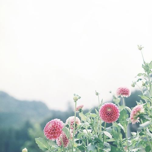 不识高丽 《国名二》