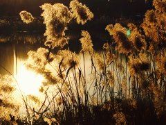 心心相印长挂念 《湖南地名》