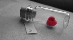 他年我若为青帝《猜一植物学词语》