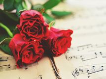 猜谜语题目:狗尾草为面,加注遥对格《打一个花名》