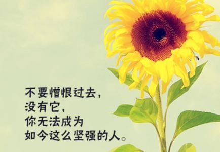 通宵达旦玩蹦迪 《祝词贺语》