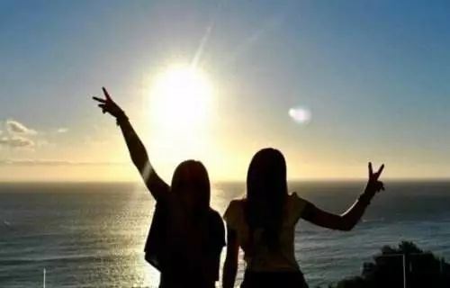 坐也卧_立也卧_行也卧_卧也卧《猜一动物名》