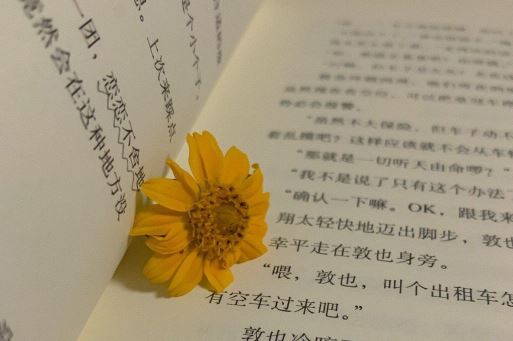 预先抵穗候婿音 《打一字》