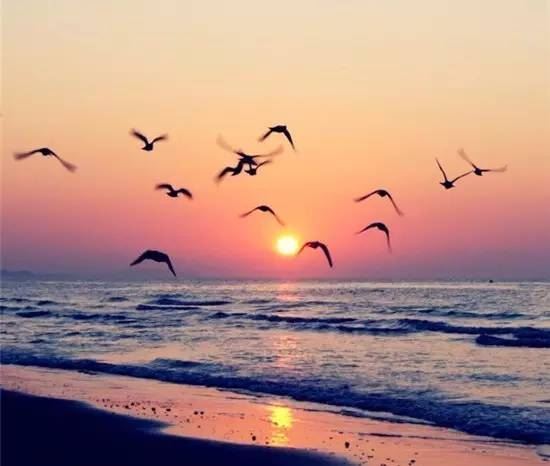 有一东西和尚用 《十画单字》