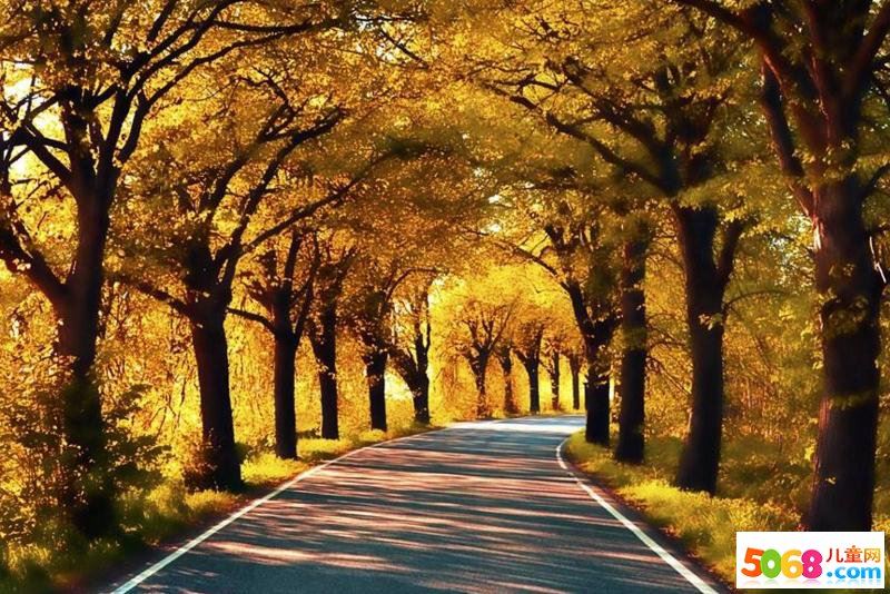 人间四月芳菲尽·卷帘格《打一个植物学词》