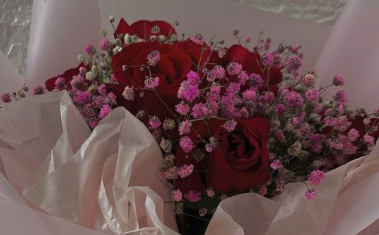 石栈天梯多少阶《猜一数学词语》