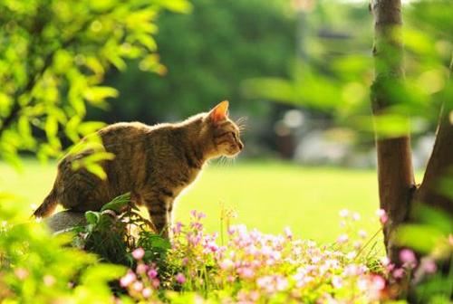 猜谜语题目:中华民族繁荣昌盛《打一个人物》