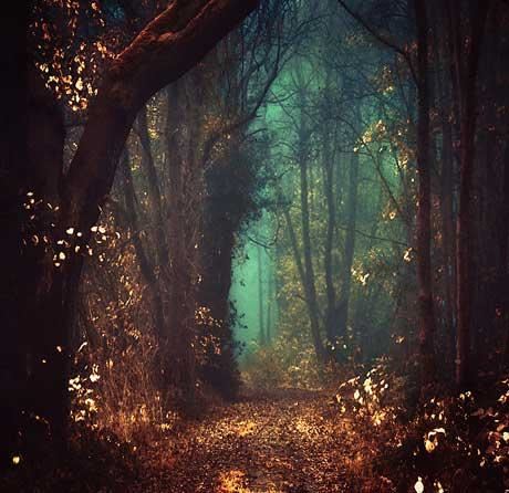 潭中鱼可百许头_皆若空游无所依 《探骊格》