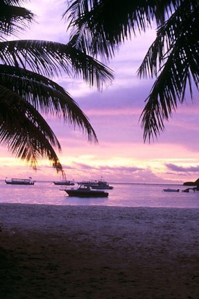 猜谜语题目:黄葫芦树上挂,雀斑布满小脸颊《打一个植物》