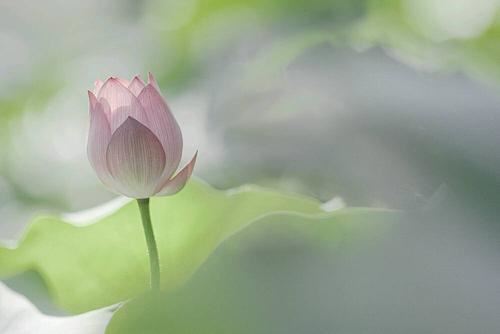 漂亮姑娘变了_矫揉造作极了 《游戏》