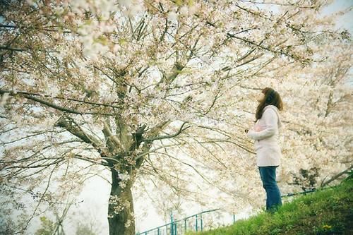 猜谜语题目:七夕织女奔鹊桥《打一首诗句》