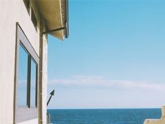 没有出路好担心　《猜网站名》