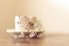 道满的士 《三字国际象棋语》