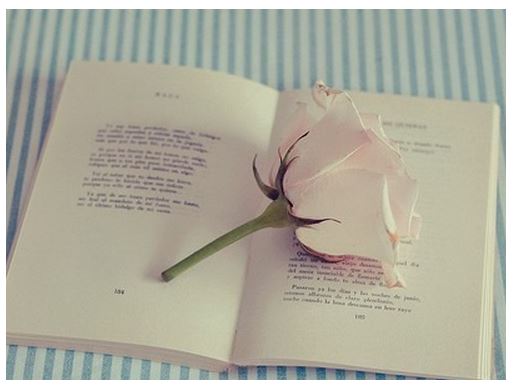 十八相送《猜一动物名》