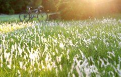 加倍打非　《猜歌星》