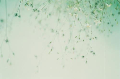 钱有美中不足 《棋类术语》