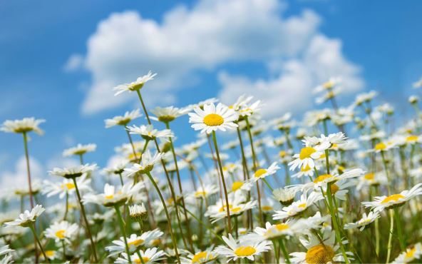 猜谜语题目:安得后羿弓《打一个地名》