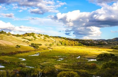 不勤于政_必奏于君 《5字口语》