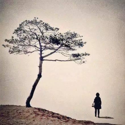 不仅听其言 《歌手》