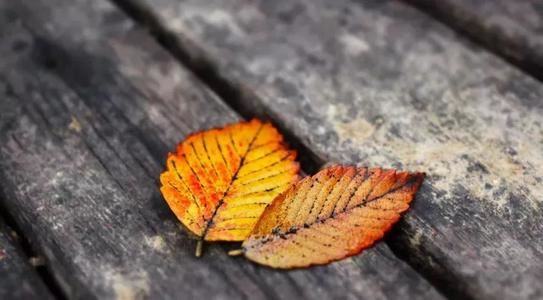 猜谜语题目:判《打一个成语》