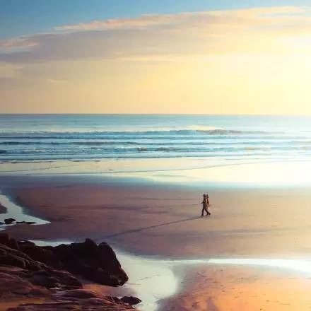 江湖了一生《猜一动物名》