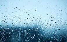 佳人买纸糊窗棂《猜一中药名》