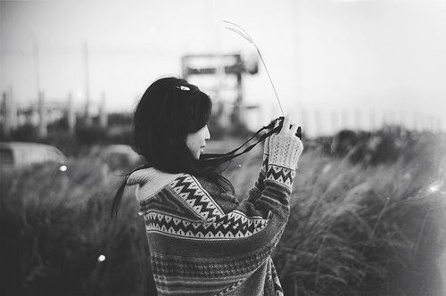 一点一滴都献给神州华夏《猜一动物名》