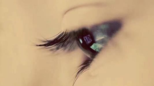 粽子头_梅花脚_屁股挂把弯镰刀_黑白灰黄花皮袄_坐着反比站着高《猜一动物》