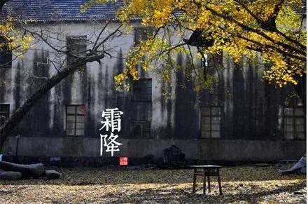 白天一起玩_夜间一块眠-到老不分散_人夸好姻缘-《猜一动物》