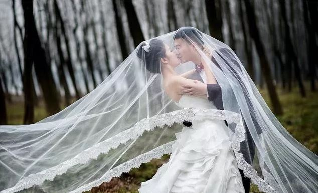 说它是虎它不像_金钱印在黄袄上_站在山上吼一声_吓跑猴子吓跑狼-《猜一动物》