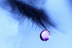 猜谜语题目:归来却空空的行囊《打一个植物学》