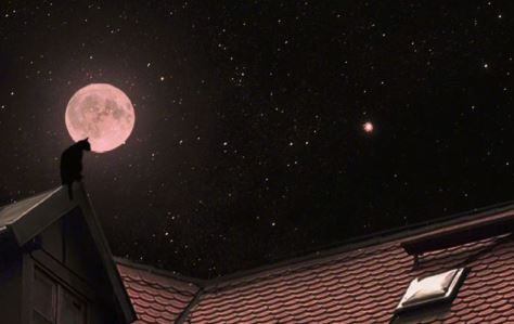 十分精巧《广东地名》