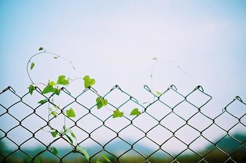 丁生打虎有水分 《常用词》