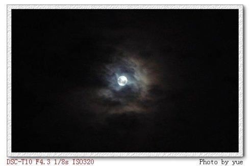 猜谜语题目:希望转载《打一个植物学词》