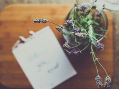 执子之手共白发_一生未变当如初《猜一称谓》