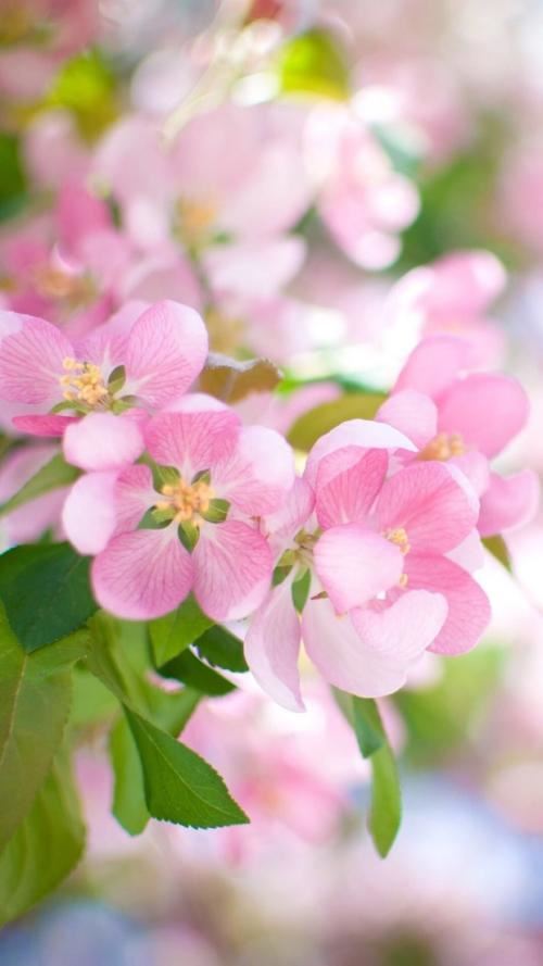 有点挂念先生　《猜8笔字》