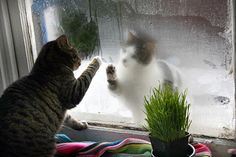 千里驰骋巾帼至《猜一字谜》