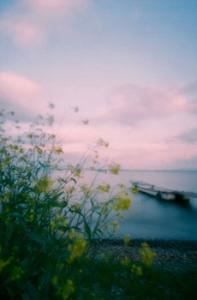 长的少,短的多,脚去踩,手去摸《猜一日常用品》