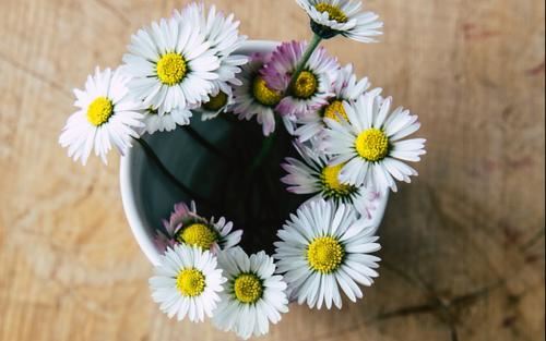 宠臣皆上凌烟阁 《骊珠》