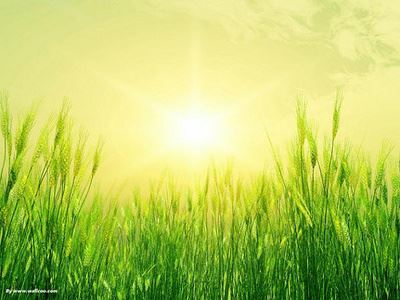 双方进宫争统兵　《猜10笔字》