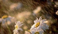 十八乘六《猜一字谜》