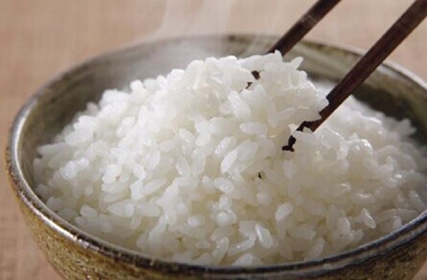 先生春节前回鲁南　《猜中药》